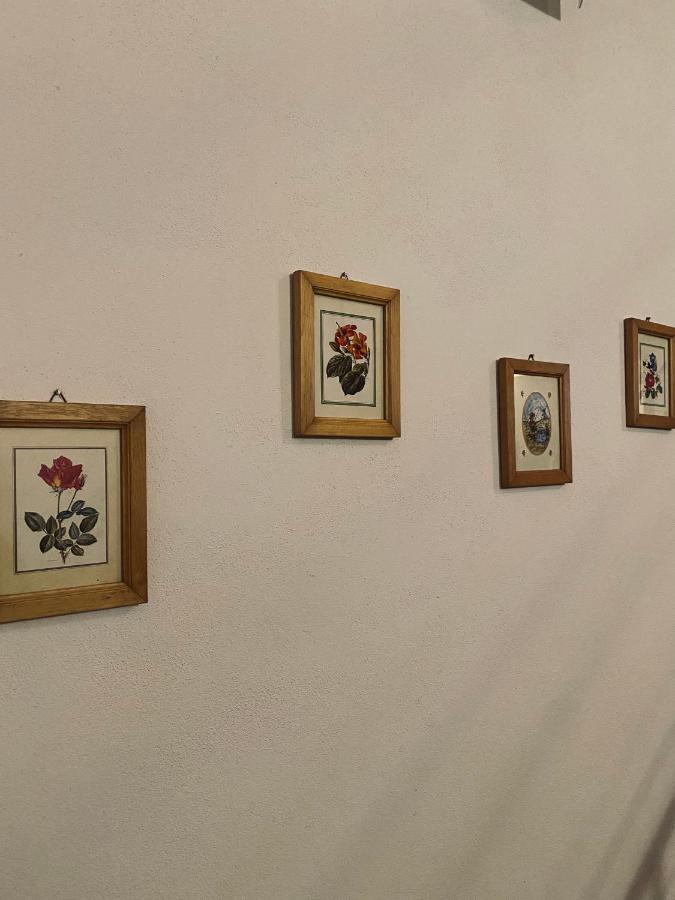 Appartamento Don Tano คาตาเนีย ภายนอก รูปภาพ
